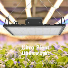 Deep Red Spectrum Grow LED for Flowering Stage